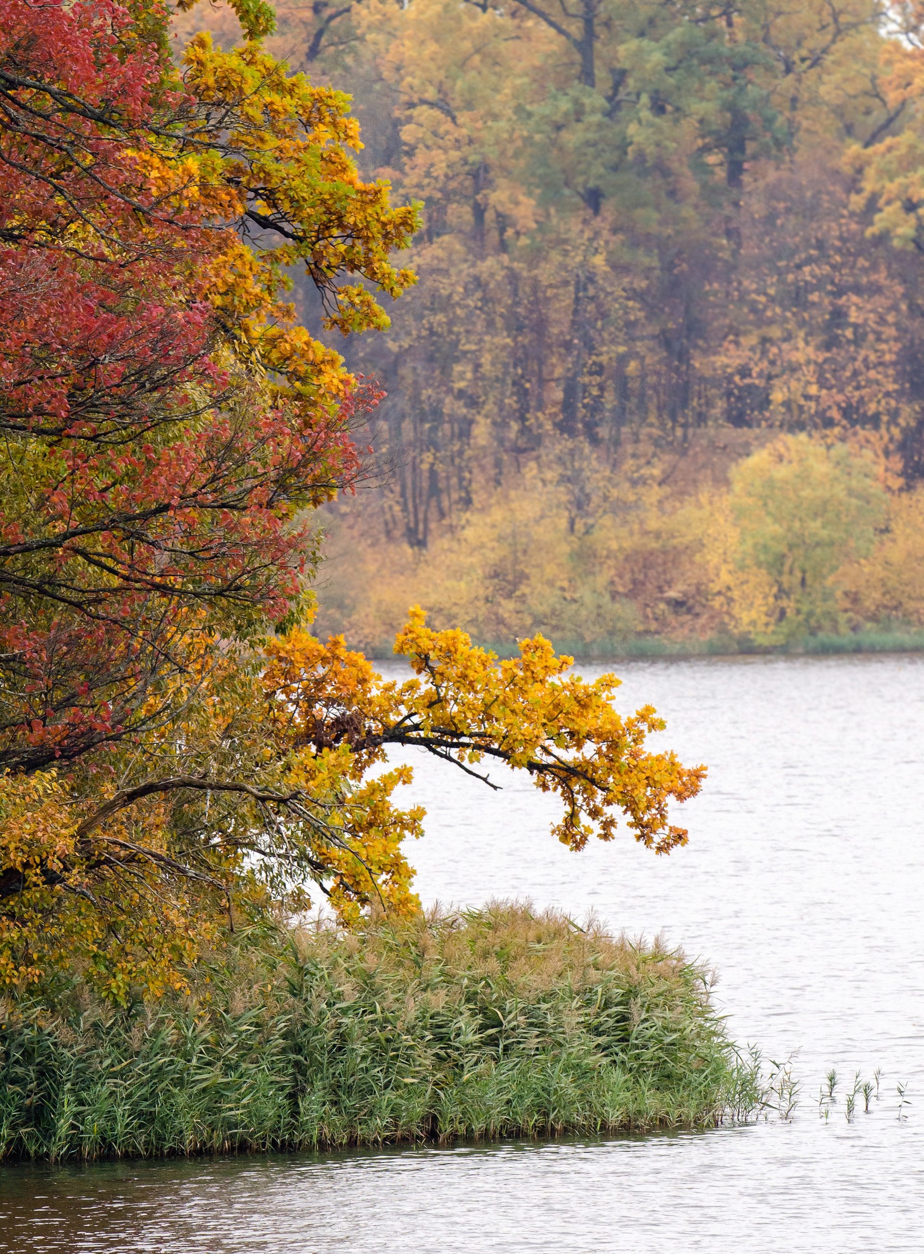 Доброе утро! Сегодня последний день октября Доброе утро! Сегодня последний день октября