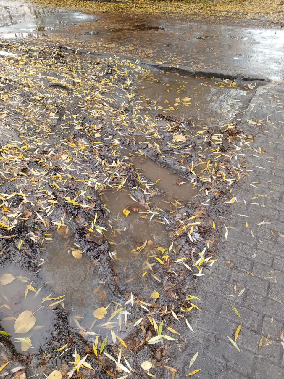 Нам пишут: "Как тут не вспомнить Гоголя и его описание Миргородской лужи Нам пишут: "Как тут не вспомнить Гоголя и его описание Миргородской лужи