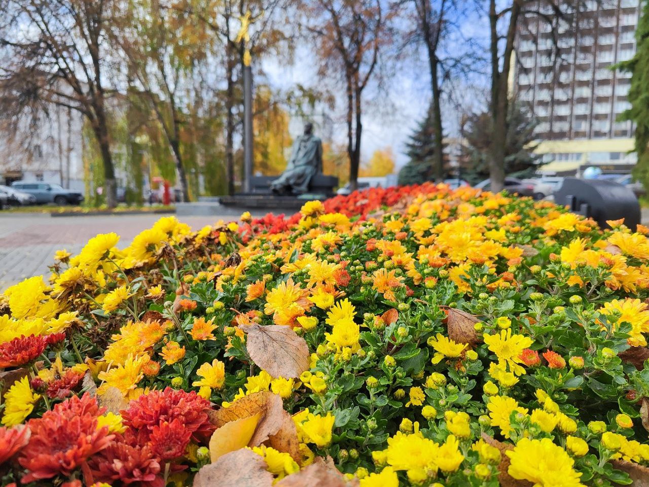 Доброе утро, друзья!. Сегодня (наконец-то!) последний рабочий день этой долгой недели