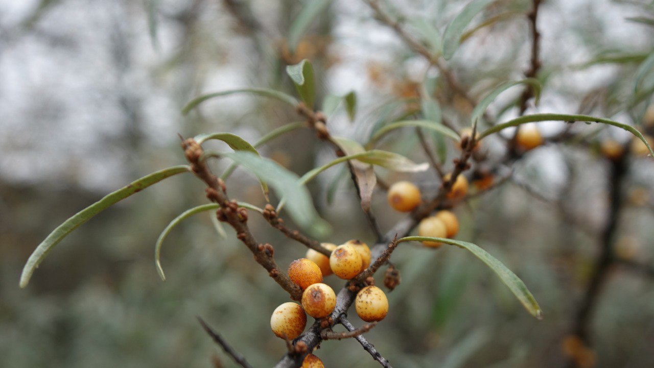 Игорь Корпунков: Вчера еще целый день шел дождь, а сегодня, в день проведения очередного субботника, установилась благоприятная погода Игорь Корпунков: Вчера еще целый день шел дождь, а сегодня, в день проведения очередного субботника, установилась благоприятная погода