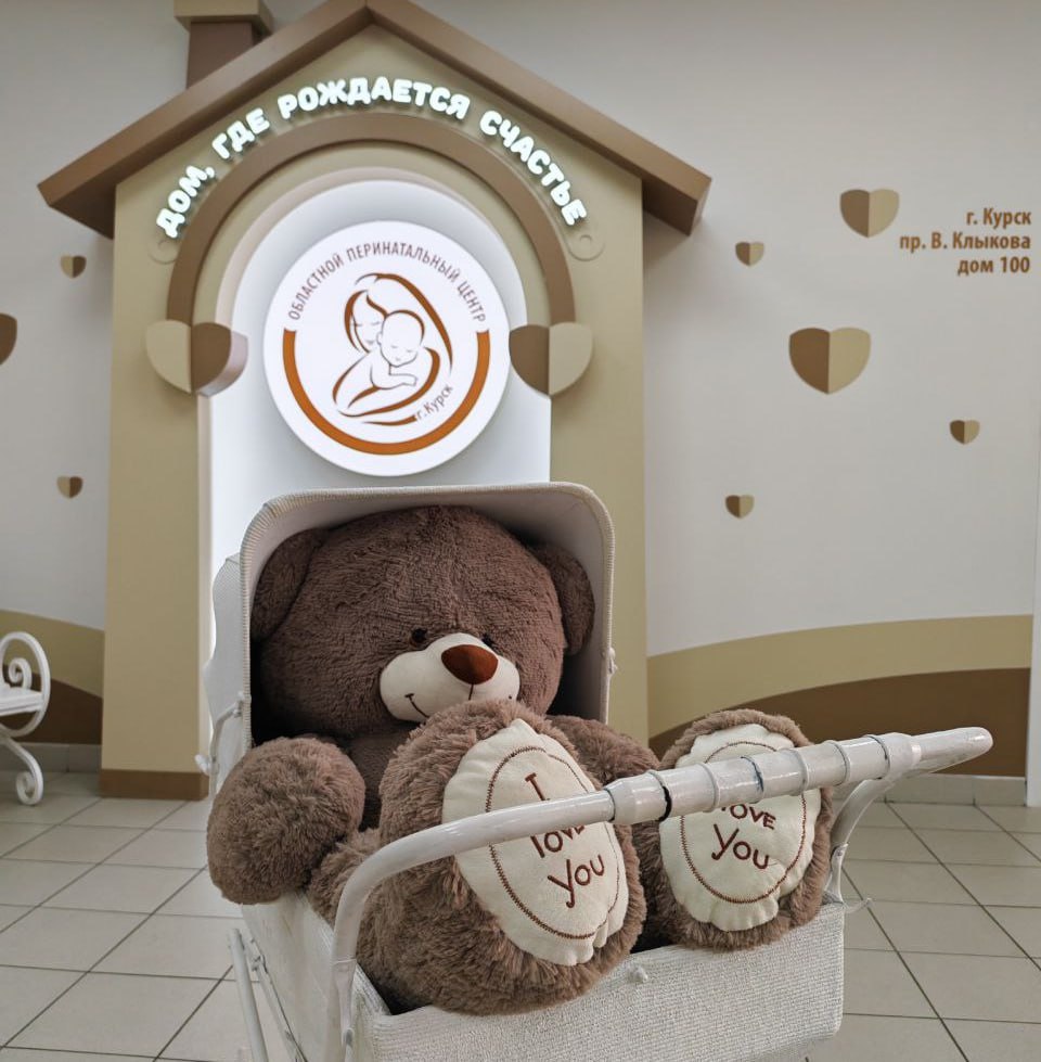 От 990 граммов до тринадцатого ребёнка: в Курске подвели «родильные» итоги октября