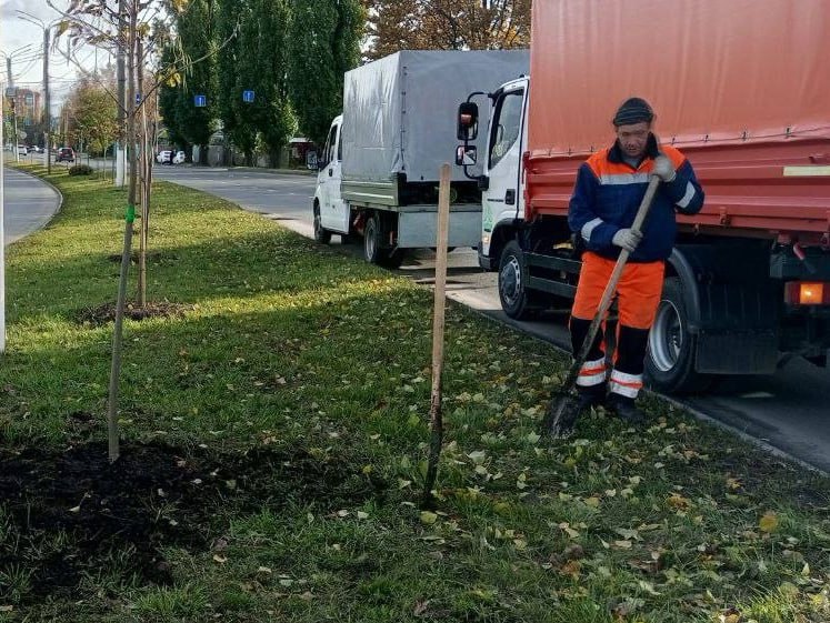 В Курске подрядчик по гарантии восстановил погибшие 10 деревьев и 37 кустарников В Курске подрядчик по гарантии восстановил погибшие 10 деревьев и 37 кустарников