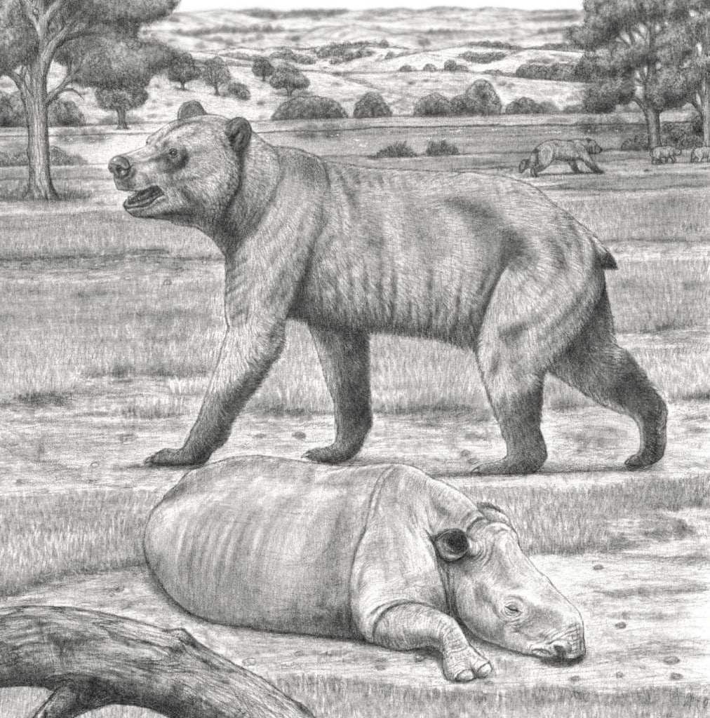 Новости к этому часу:. Учёные открыли новый вид гигантского медведя, жившего на территории современного Ставрополья 5 миллионов лет назад