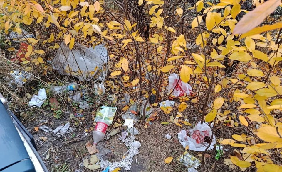 Городская администрация вышла на субботник Городская администрация вышла на субботник