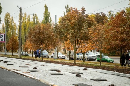 Евгений Маслов: Друзья, были обращения от жителей улицы Сумской по поводу старых тополей рядом с автомобильной дорогой