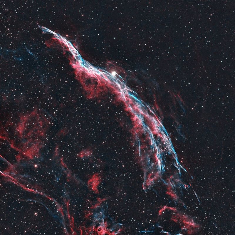 Для того чтобы увидеть красоту, нужно остановиться Для того чтобы увидеть красоту, нужно остановиться