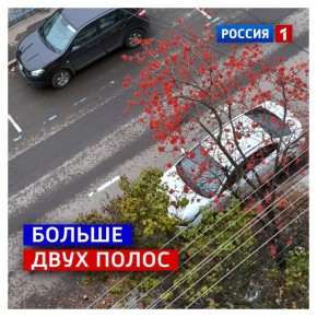 3 ноября, понедельник.   Продолжаем наши «полосатые» размышления