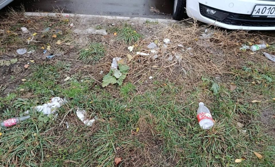 Сотрудники администрации Центрального округа устроили субботник Сотрудники администрации Центрального округа устроили субботник