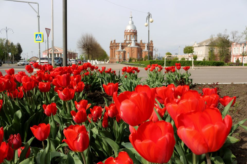    ,  !   , ,      !         ,        ...