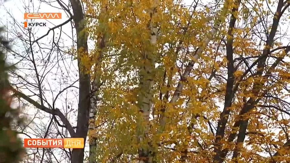 4 ноября - День народного единства, а в единстве - наша сила