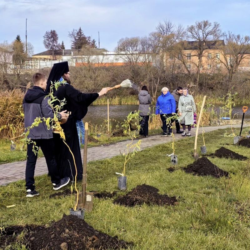 Заложили Аллею Памяти: как Щигры отметили День народного единства Заложили Аллею Памяти: как Щигры отметили День народного единства