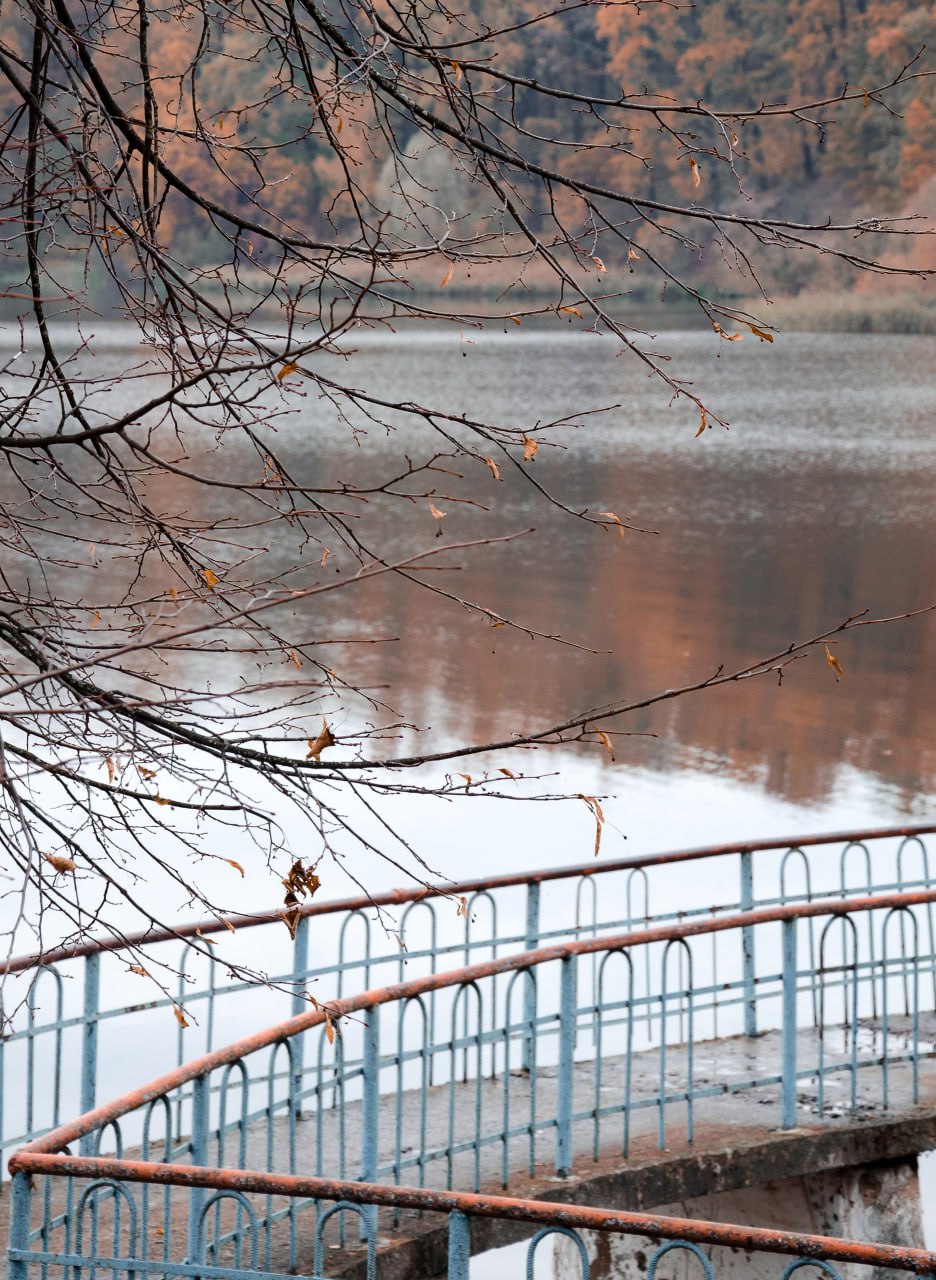 Доброе утро! Железногорское ноябрьское настроение от Константина Ларина Доброе утро! Железногорское ноябрьское настроение от Константина Ларина