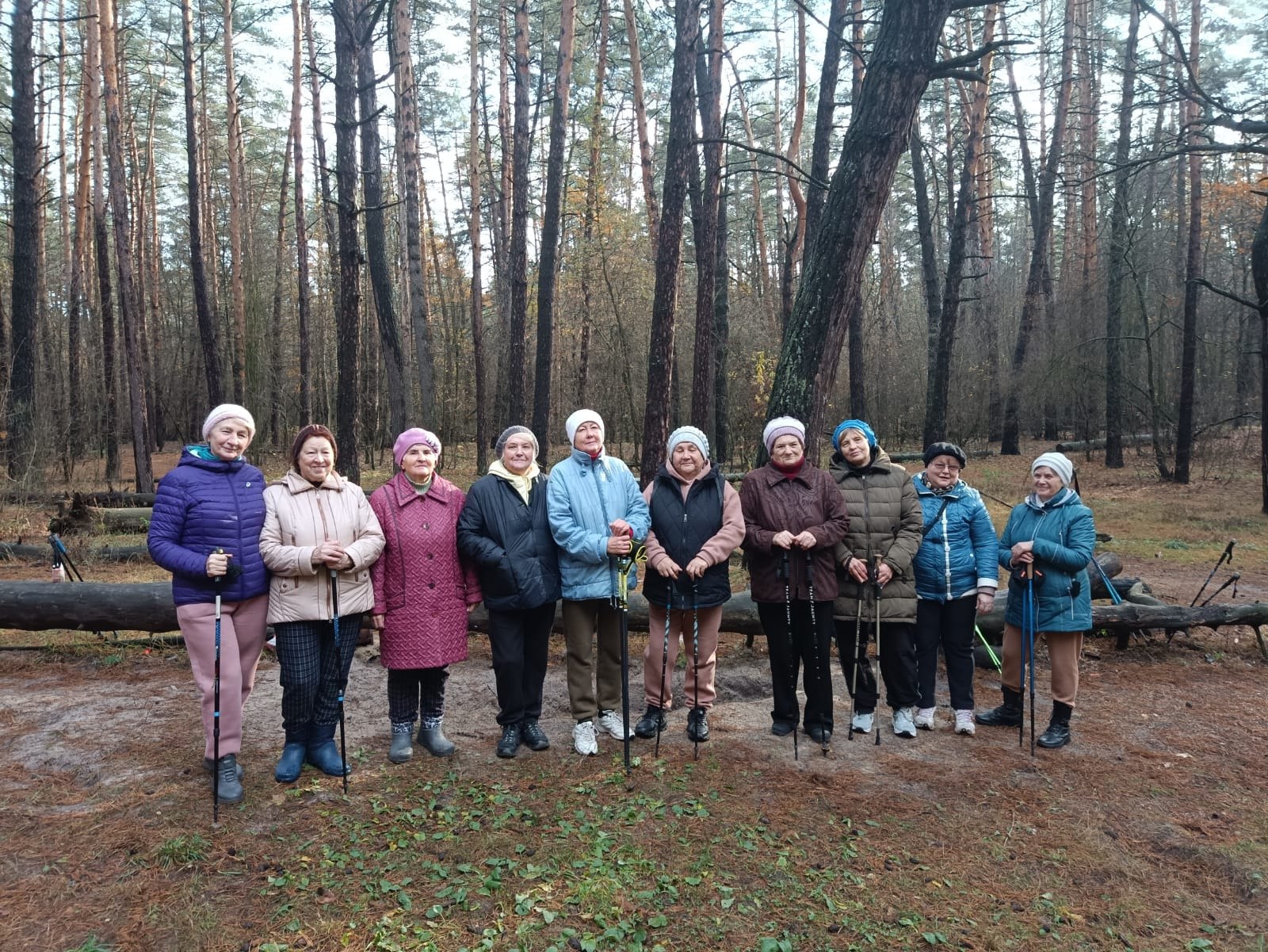 Участники проекта "Курское долголетие" города Курска активно занимаются скандинавской ходьбой Участники проекта "Курское долголетие" города Курска активно занимаются скандинавской ходьбой