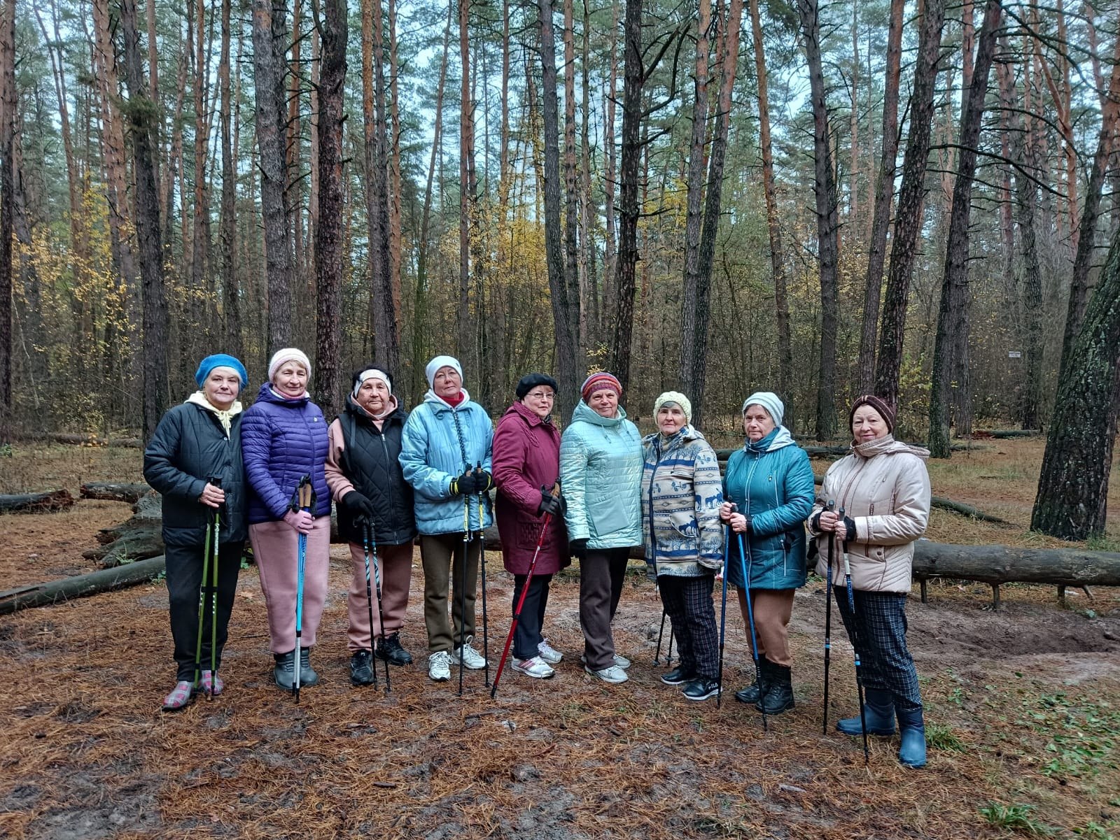 Участники проекта "Курское долголетие" города Курска активно занимаются скандинавской ходьбой Участники проекта "Курское долголетие" города Курска активно занимаются скандинавской ходьбой