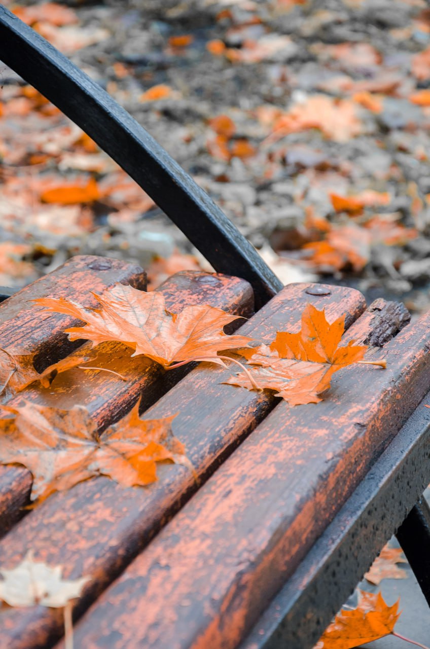 Доброе утро! Железногорское ноябрьское настроение от Константина Ларина Доброе утро! Железногорское ноябрьское настроение от Константина Ларина