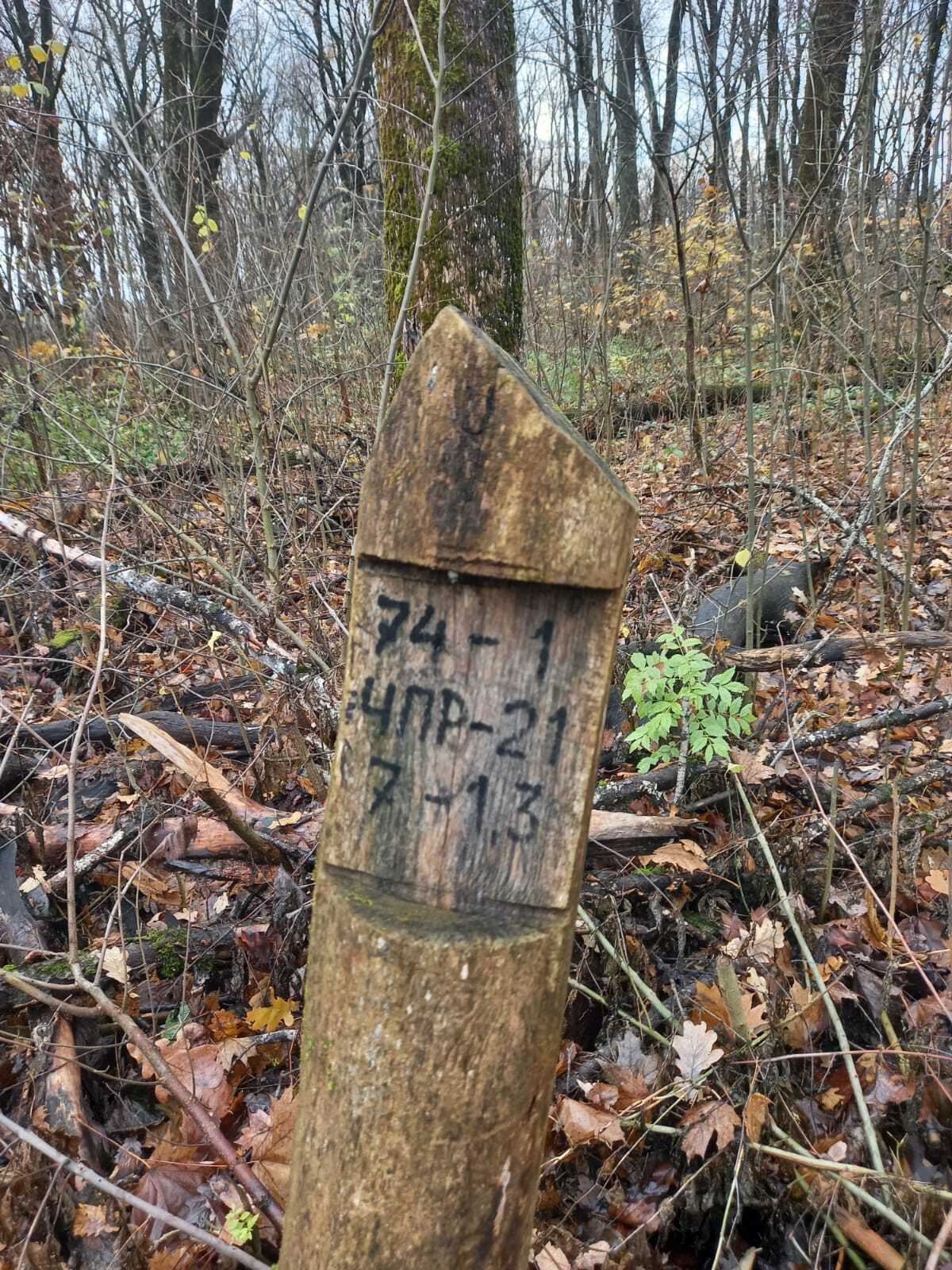 Минприроды Курской области продолжает проводить ревизии гослесфонда Минприроды Курской области продолжает проводить ревизии гослесфонда