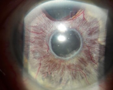 Врио министра здравоохранения Курской области Светлана Ермолова: