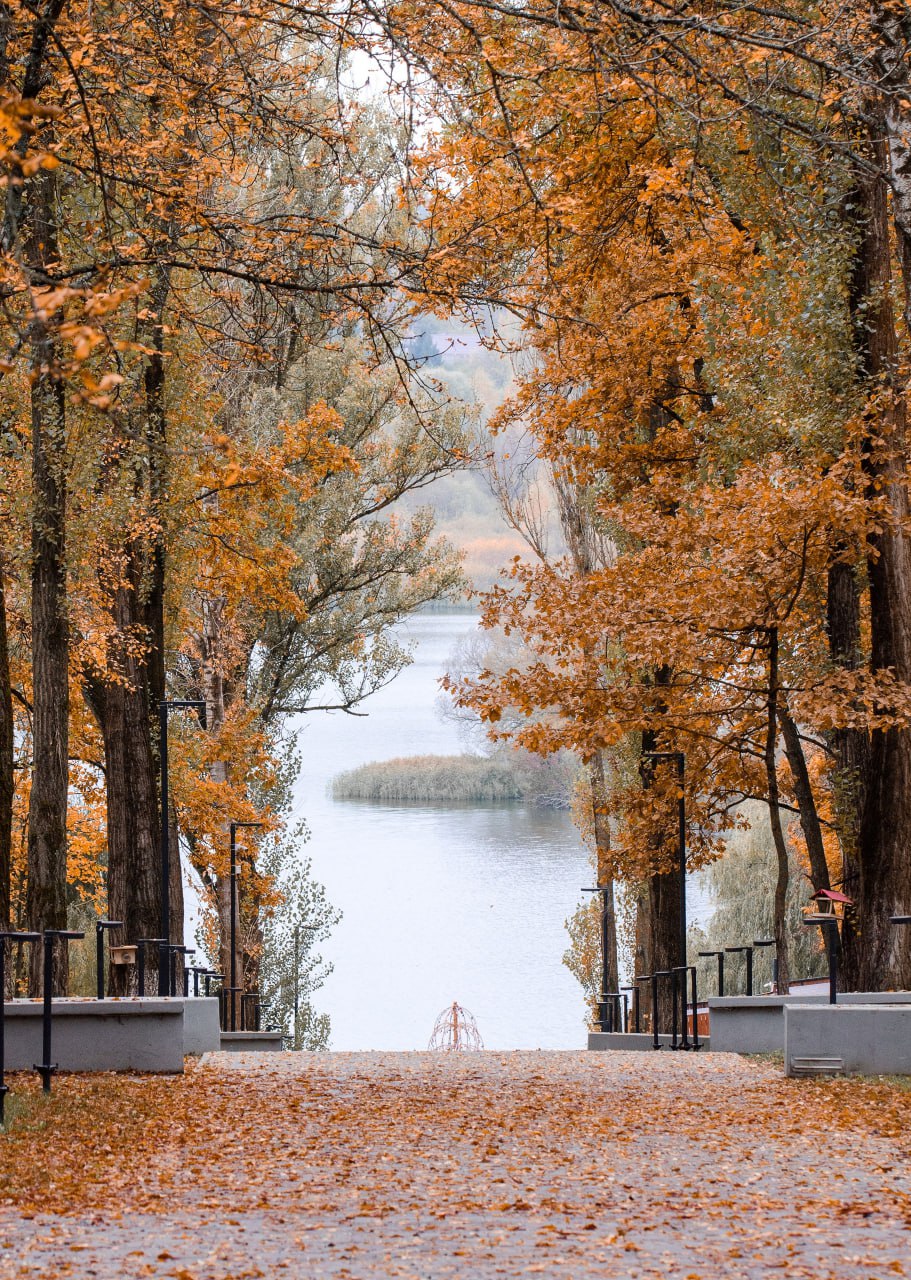 Доброе утро! Железногорское ноябрьское настроение от Константина Ларина Доброе утро! Железногорское ноябрьское настроение от Константина Ларина