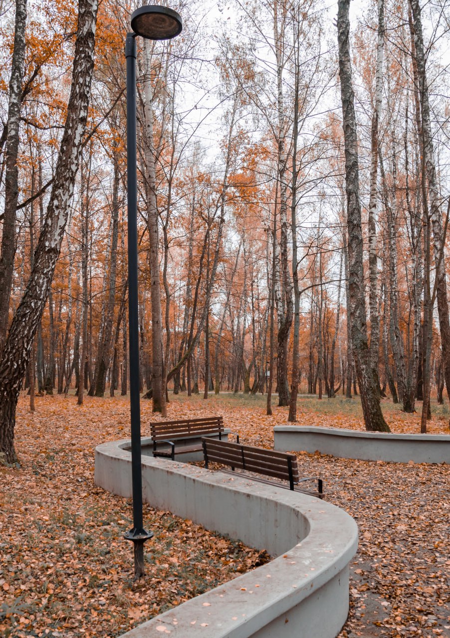 Доброе утро! Железногорское ноябрьское настроение от Константина Ларина Доброе утро! Железногорское ноябрьское настроение от Константина Ларина