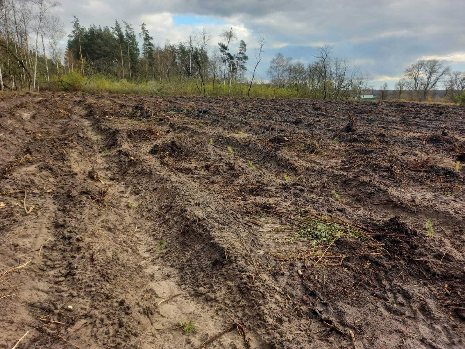 Минприроды Курской области продолжает проводить ревизии гослесфонда Минприроды Курской области продолжает проводить ревизии гослесфонда