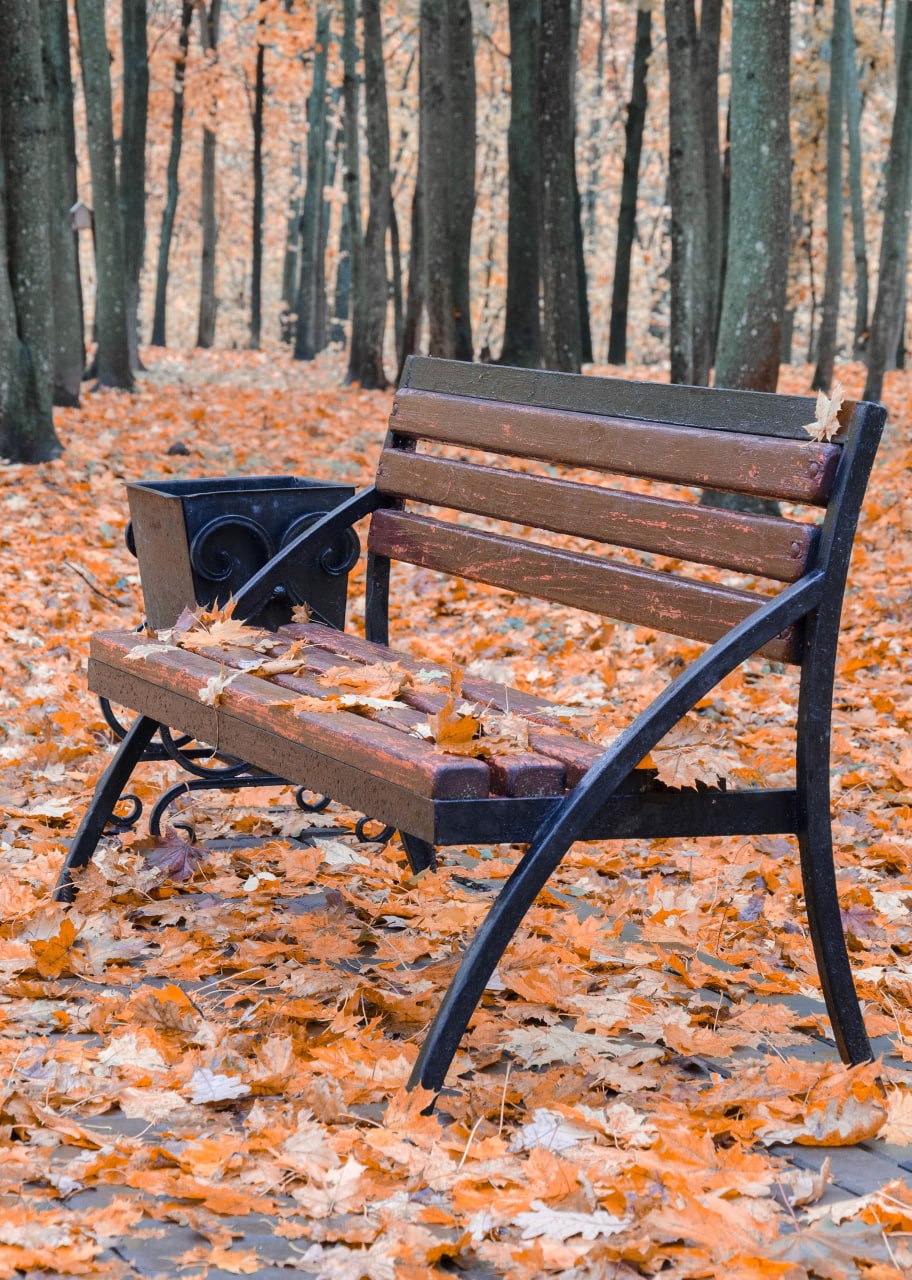 Доброе утро! Железногорское ноябрьское настроение от Константина Ларина Доброе утро! Железногорское ноябрьское настроение от Константина Ларина