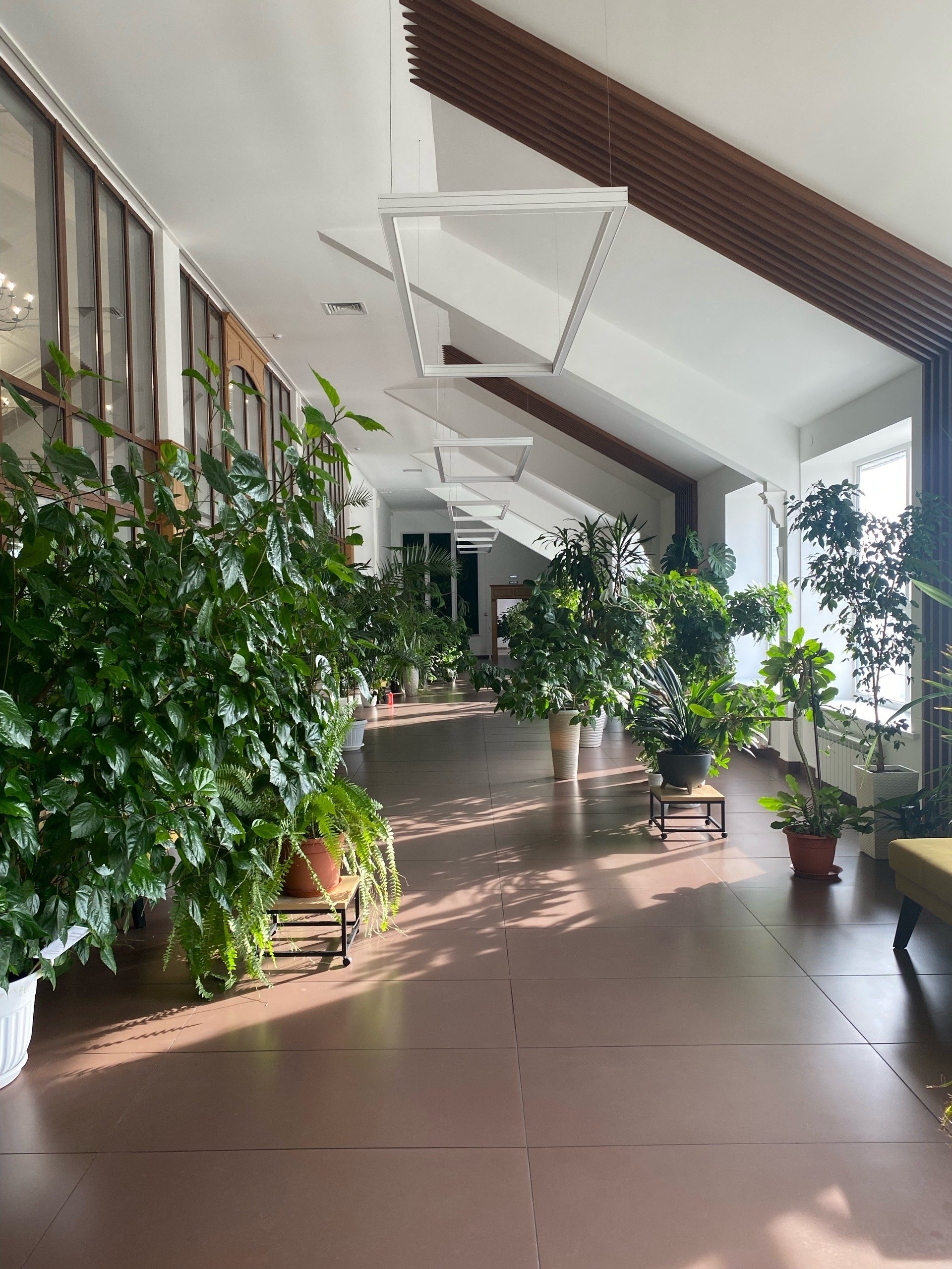 «Hic mortui vivunt, hic muti loquuntur» — «Здесь мёртвые живы, здесь немые говорят» «Hic mortui vivunt, hic muti loquuntur» — «Здесь мёртвые живы, здесь немые говорят»