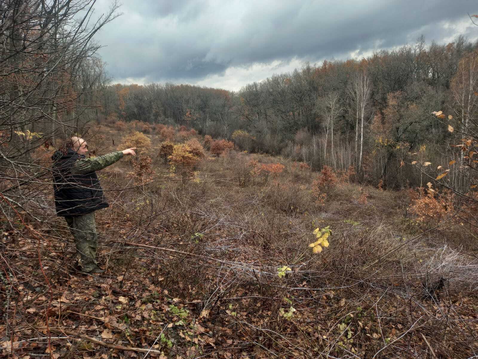Минприроды Курской области продолжает проводить ревизии гослесфонда Минприроды Курской области продолжает проводить ревизии гослесфонда