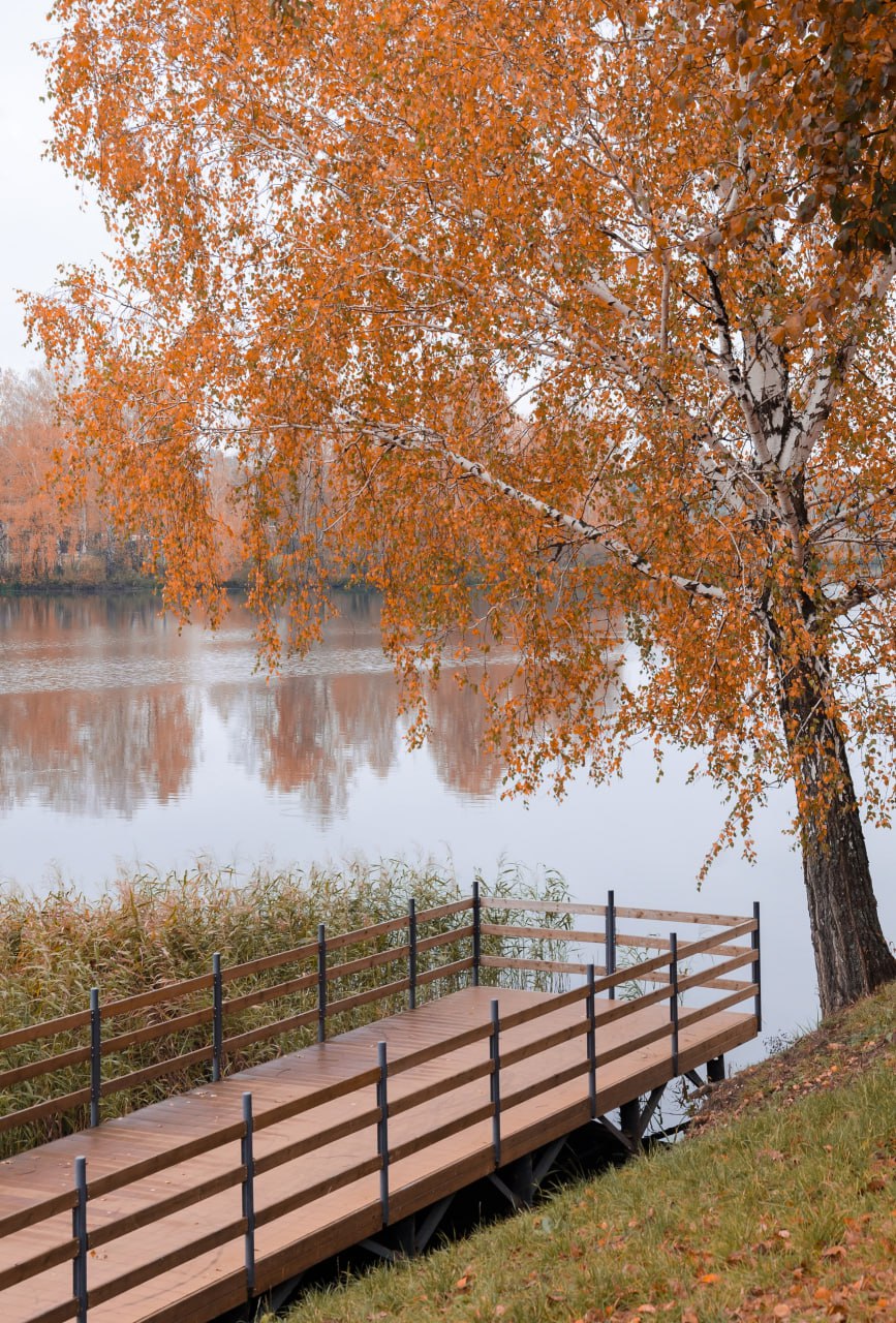Доброе утро! Железногорское ноябрьское настроение от Константина Ларина Доброе утро! Железногорское ноябрьское настроение от Константина Ларина