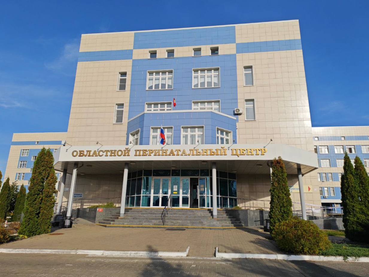 Хинштейн поручил привести в порядок дороги к больницам и обустроить парковку у роддома