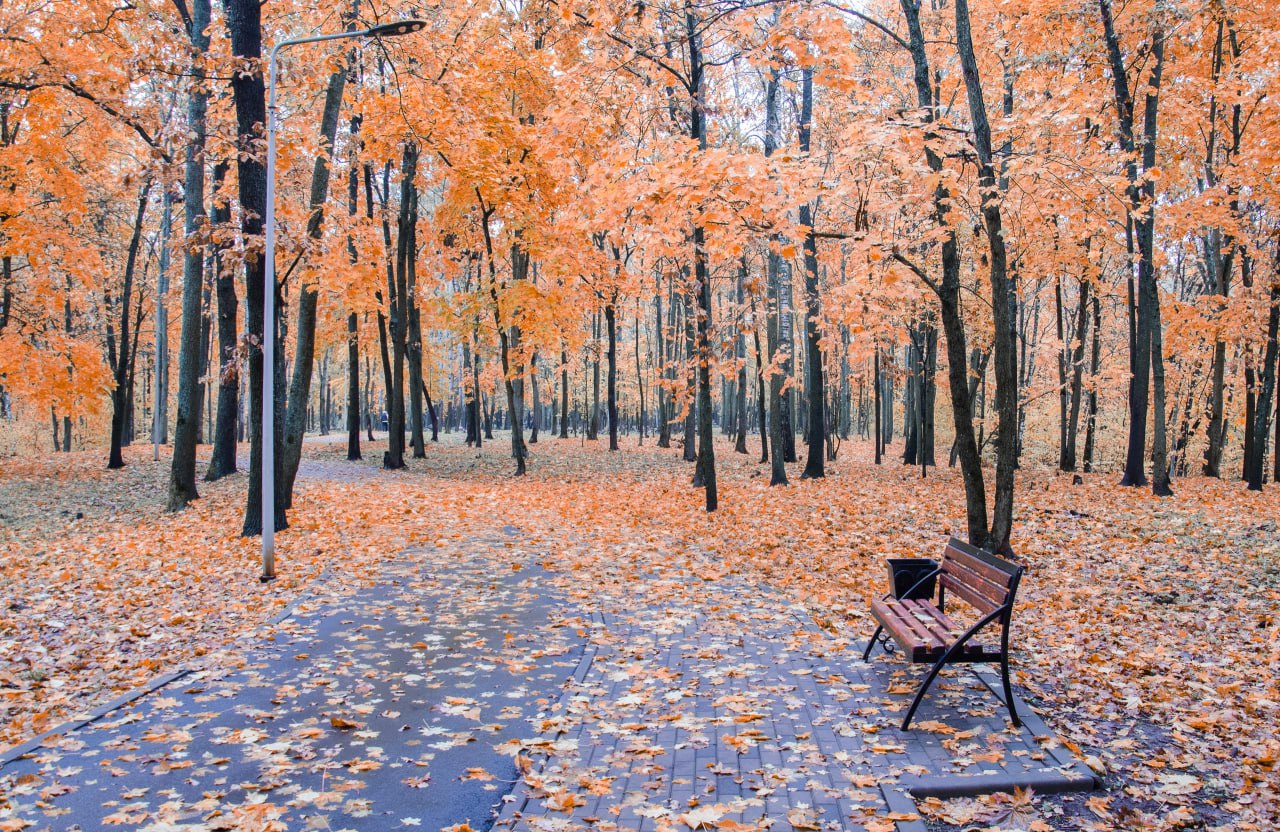 Доброе утро! Железногорское ноябрьское настроение от Константина Ларина Доброе утро! Железногорское ноябрьское настроение от Константина Ларина