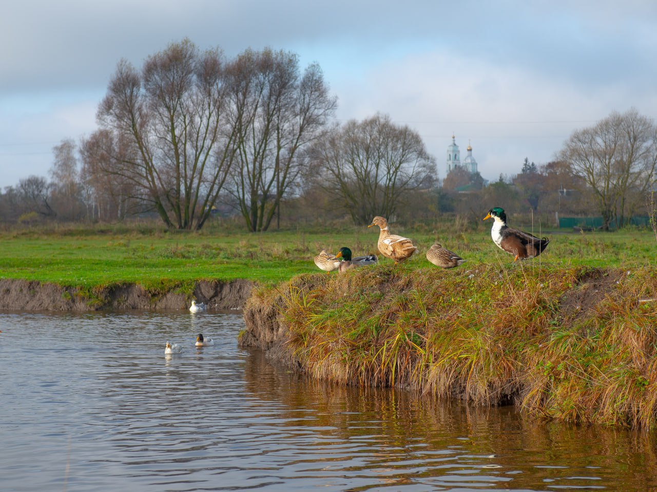 Доброе утро! Осень в слободе Михайловка на кадрах Романа Игнатьева Доброе утро! Осень в слободе Михайловка на кадрах Романа Игнатьева