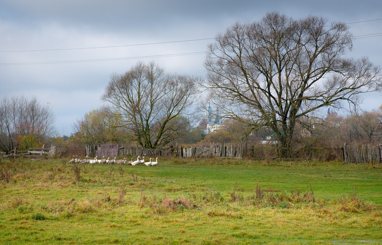 Доброе утро! Осень в слободе Михайловка на кадрах Романа Игнатьева Доброе утро! Осень в слободе Михайловка на кадрах Романа Игнатьева