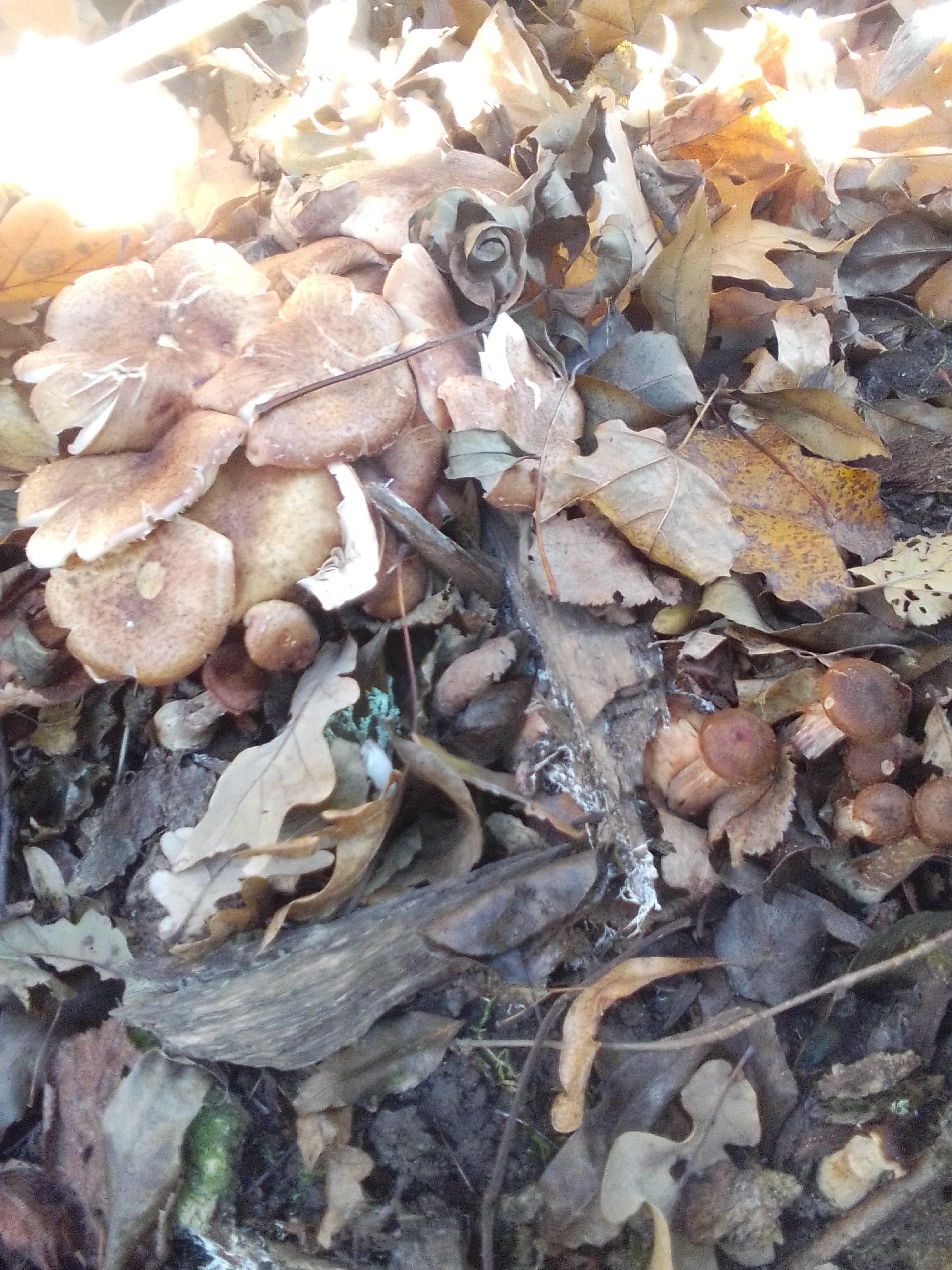 Доброе утро и хорошего дня, дорогие глушковцы! Доброе утро и хорошего дня, дорогие глушковцы!