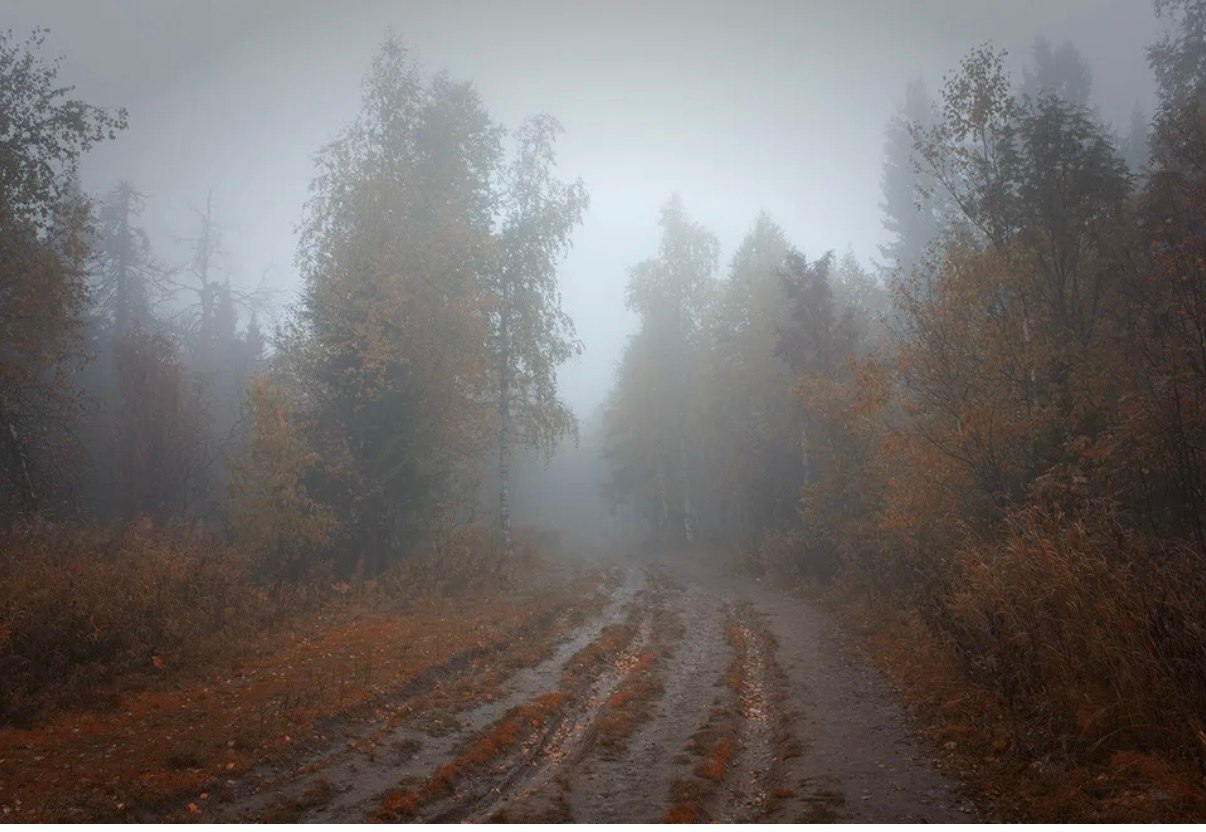 Доброе утро!. Сегодня, в четверг, 6 ноября, по прогнозу регионального отделения МЧС, в Курской области переменная облачность