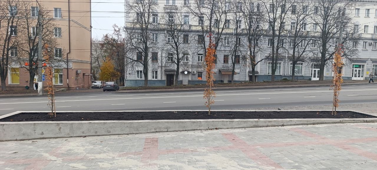 В Курске сквер у ТЦ «Куряночка» готов на 81% В Курске сквер у ТЦ «Куряночка» готов на 81%