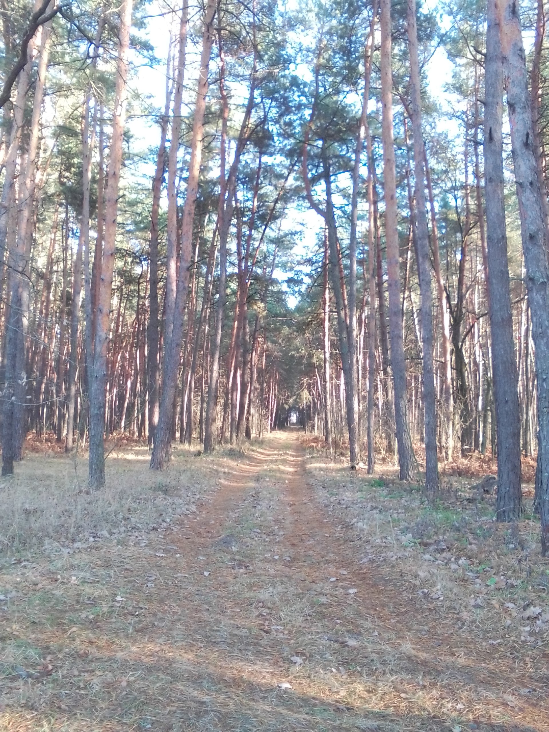 Доброе утро и хорошего дня, дорогие глушковцы!