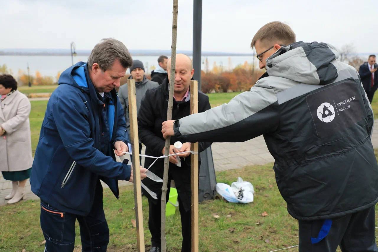 Что объединяет 80-летие атомной промышленности и 80 клёнов? Что объединяет 80-летие атомной промышленности и 80 клёнов?