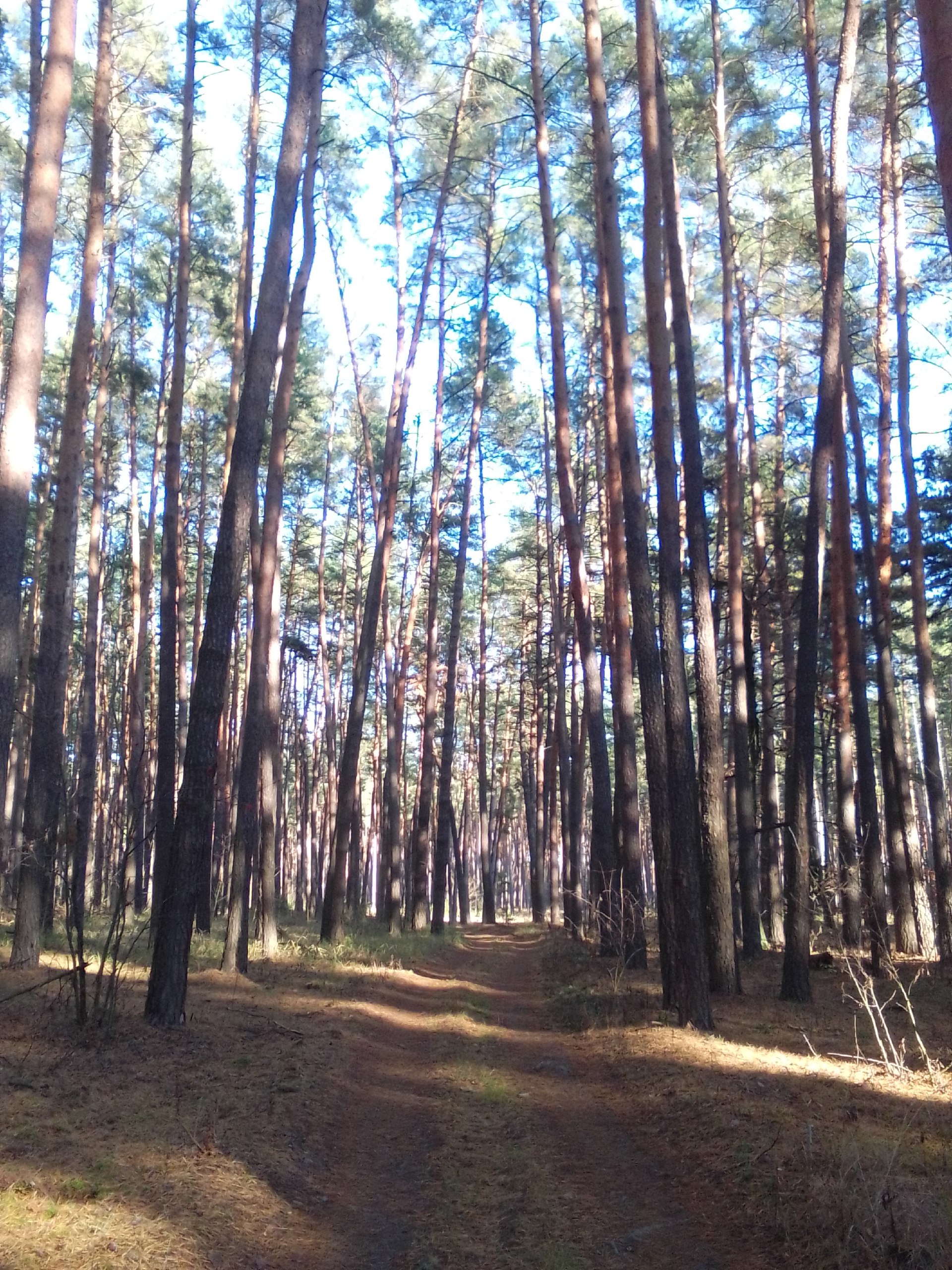 Доброе утро и хорошего дня, дорогие глушковцы! Доброе утро и хорошего дня, дорогие глушковцы!