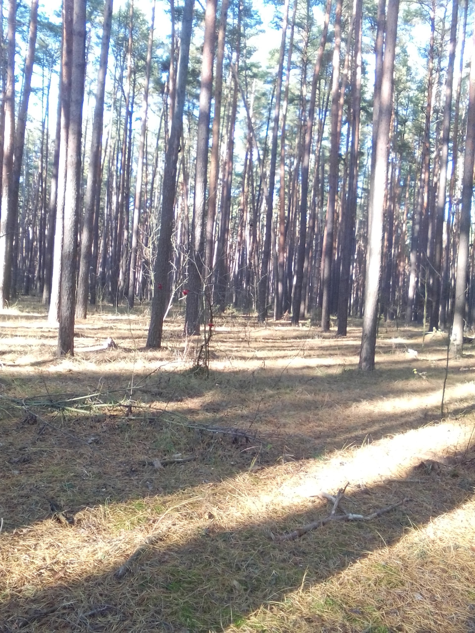 Доброе утро и хорошего дня, дорогие глушковцы! Доброе утро и хорошего дня, дорогие глушковцы!