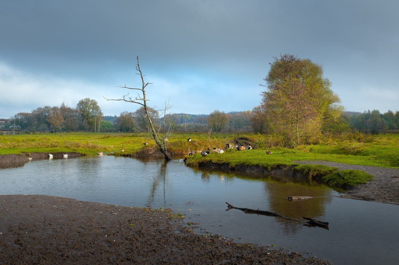 Доброе утро! Осень в слободе Михайловка на кадрах Романа Игнатьева Доброе утро! Осень в слободе Михайловка на кадрах Романа Игнатьева