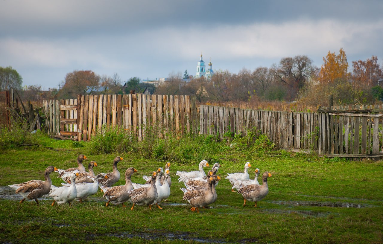 Доброе утро! Осень в слободе Михайловка на кадрах Романа Игнатьева Доброе утро! Осень в слободе Михайловка на кадрах Романа Игнатьева