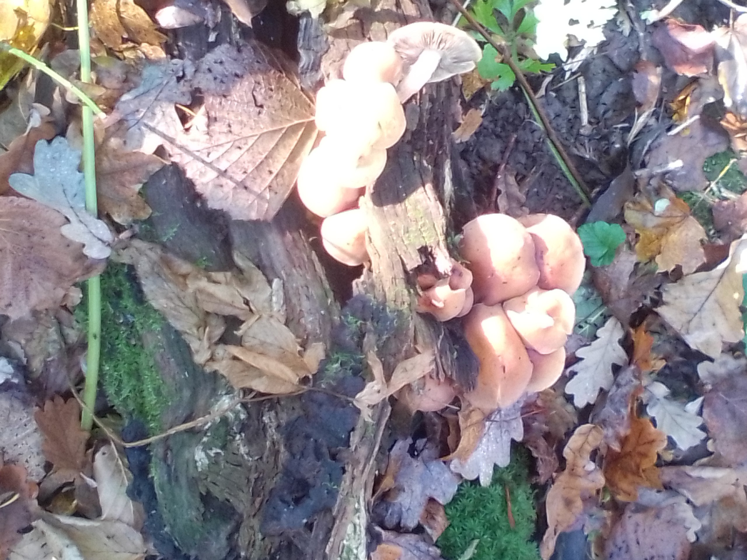Доброе утро и хорошего дня, дорогие глушковцы! Доброе утро и хорошего дня, дорогие глушковцы!