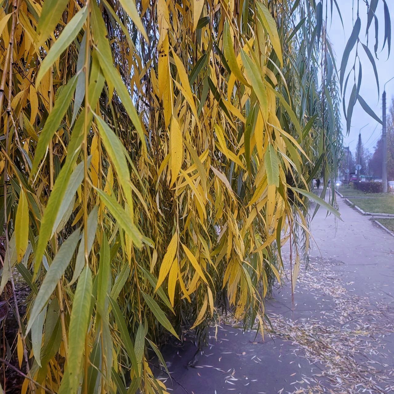 Доброе утро, Щигровский район! Доброе утро, Щигровский район!