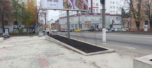 Сквер у ТЦ «Куряночка» в Курске готов на 81%