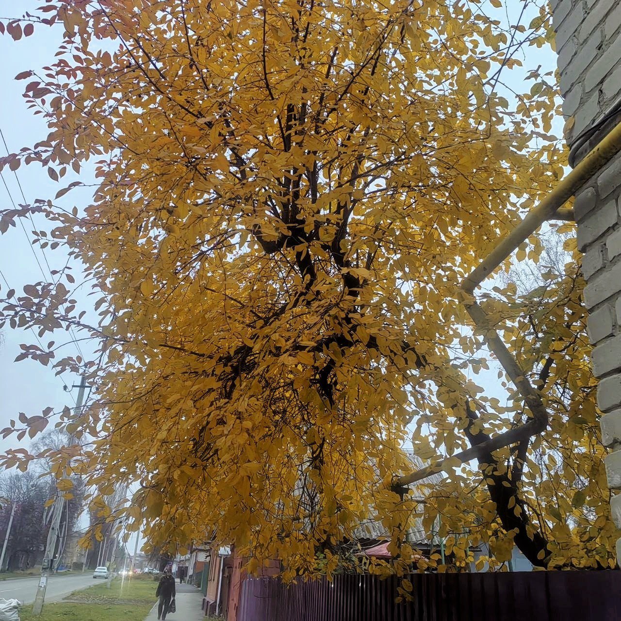 Доброе утро, Щигровский район! Доброе утро, Щигровский район!