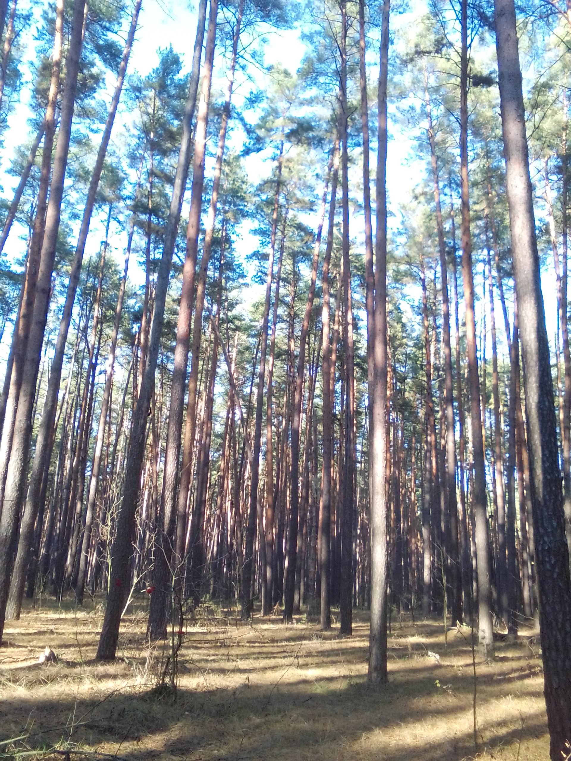 Доброе утро и хорошего дня, дорогие глушковцы! Доброе утро и хорошего дня, дорогие глушковцы!