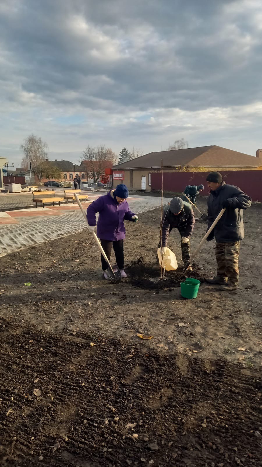 Озеленение Центральной площади в м. Свобода Озеленение Центральной площади в м. Свобода