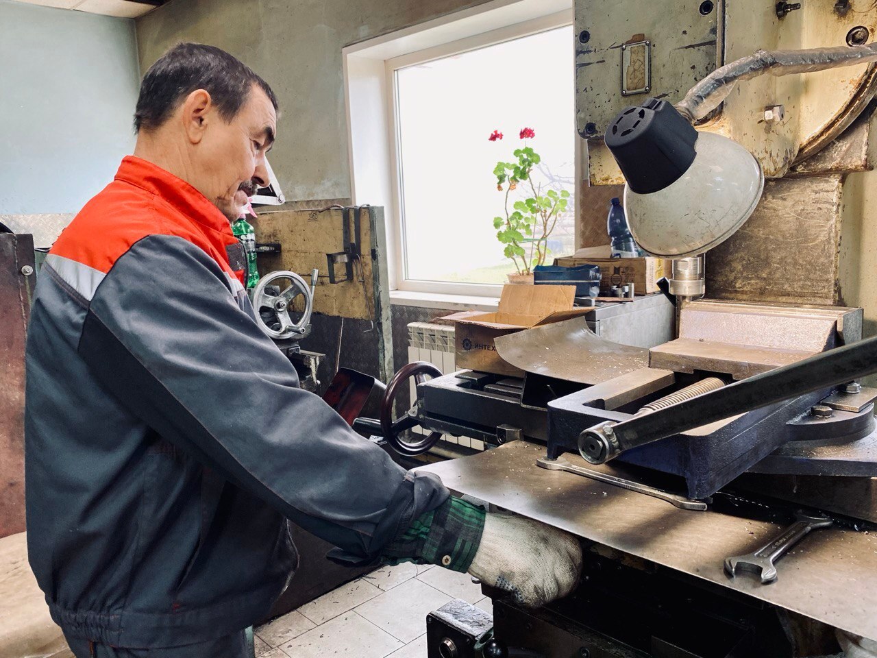 Вносят свой вклад в сохранение зелёного фонда страны Вносят свой вклад в сохранение зелёного фонда страны