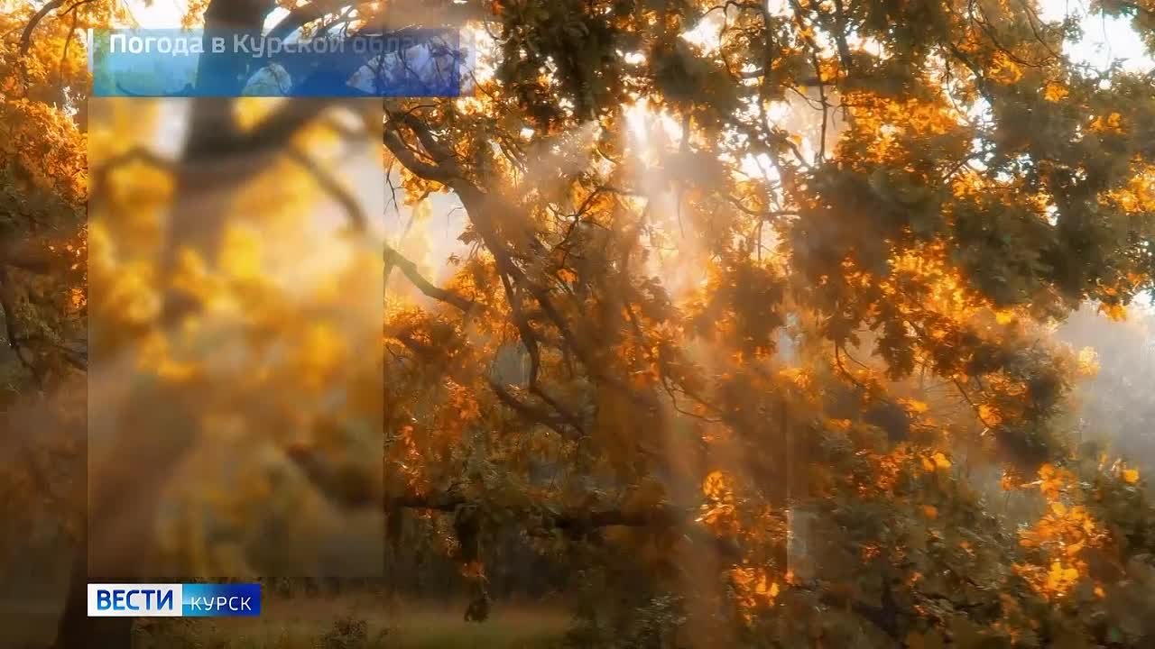 на 8 ноября. ВЕСТИ Читать | Прислать | MAX