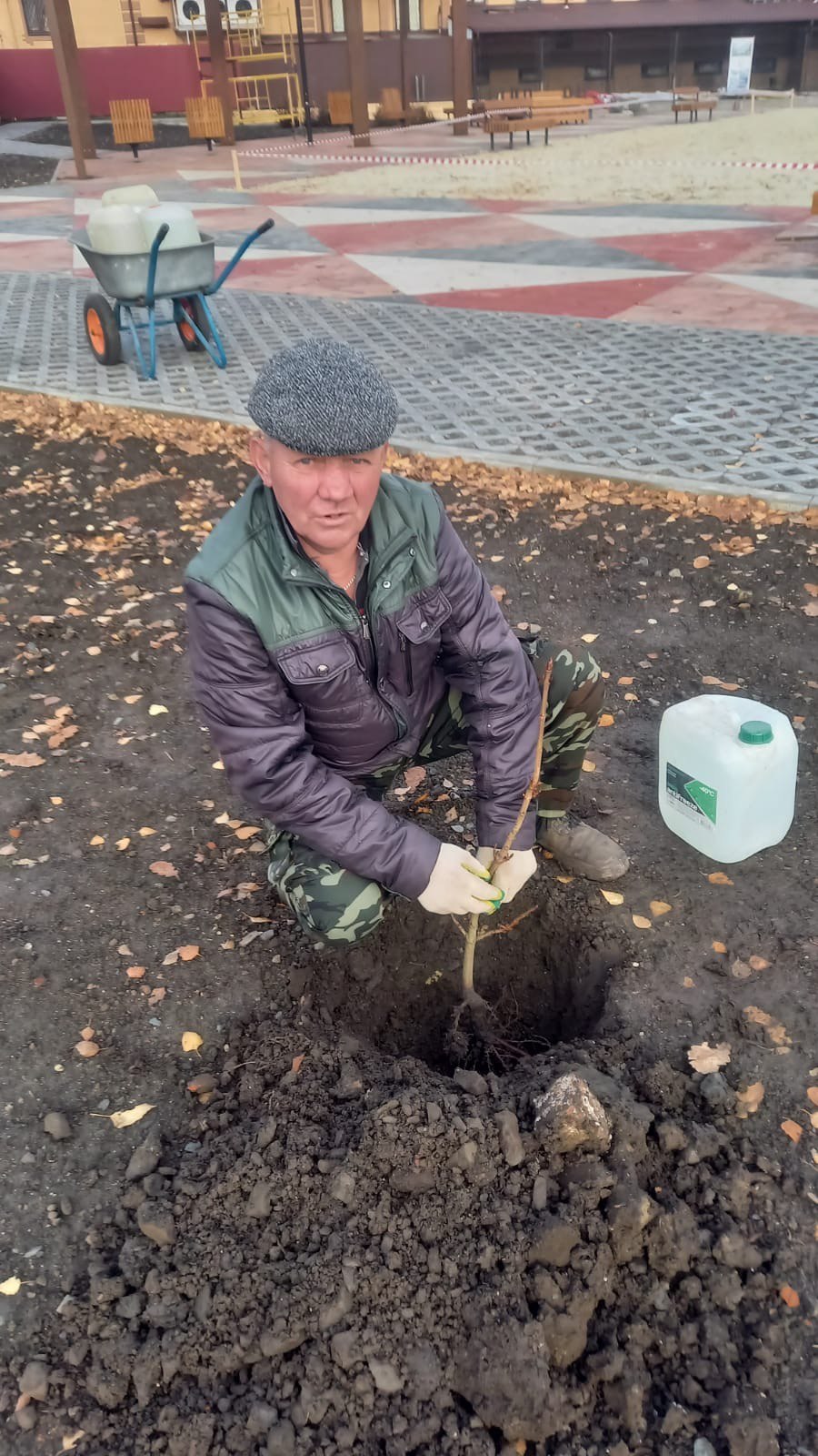 Озеленение Центральной площади в м. Свобода Озеленение Центральной площади в м. Свобода
